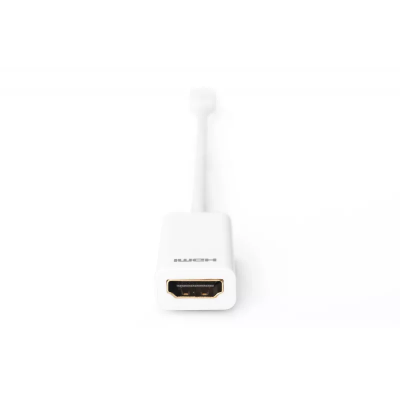Adaptador DisplayPort Digitus AK-340404-001-W