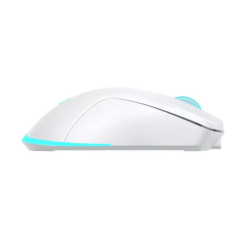 Ratón Baracuda BGM-122 Turtle blanco TURTLE-W