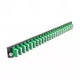 Placa frontal para caja de empalmes DeLOCK 19 pulgadas 43370 24 puertos LC cuádruple verde