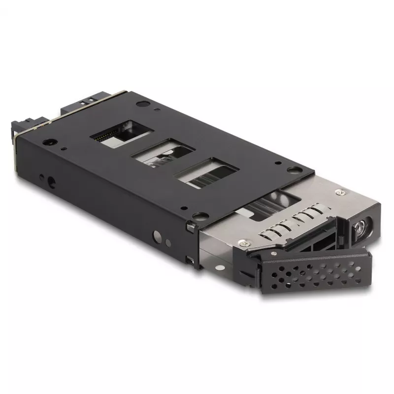Delock Slim - Rack de almacenamiento móvil - slim bay (47005)