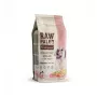 VETEXPERT Raw Paleo Healthy Grain Puppy Salmon & Barley pienso seco para cachorros, 10 kg