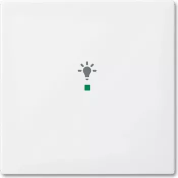 Placa de cubierta Busch-Jaeger 2CKA006220A0356 para soporte y caja de sensor blanco (2CKA006220A0356)