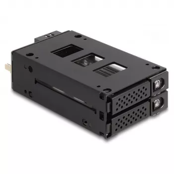 Delock - Rack de almacenamiento móvil - bahía estrecha - 5,25 a 2 x 2,5 (13,3 cm a 2 x 6,4 cm) - negro (47019)