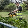 Cortasetos eléctrico DeWALT DCM563P1-QW