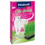 Set de hierba para gatos Vitakraft 120 g – set de hierba comestible para gatos, sin gluten, sin conservantes
