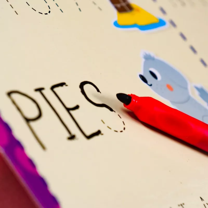 Set de aprendizaje Montessori de escritura con lápiz y 18 tableros