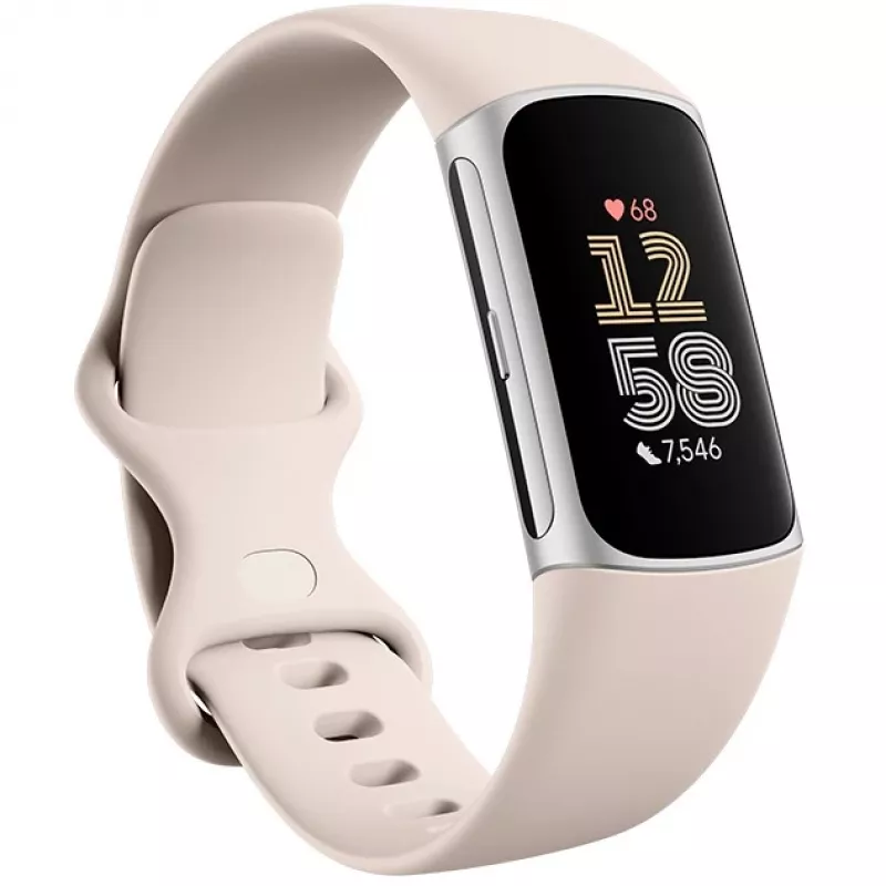 Fitbit GA05185-EU Producto Plata
