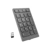 Lenovo 4Y41C33791 Teclado numérico universal RF inalámbrico gris