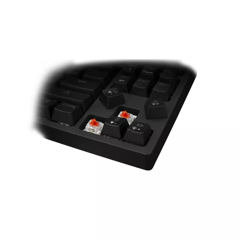 Teclado gaming White Shark Premium Line Kodachi ESL-K1
