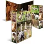 Archivador HERMA 19253 A4 multicolor cartón 285x315 mm