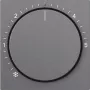 Gira placa embellecedora antracita 270228 (270228)