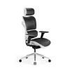 Sillón de oficina Diablo V-COMMANDER negro, blanco