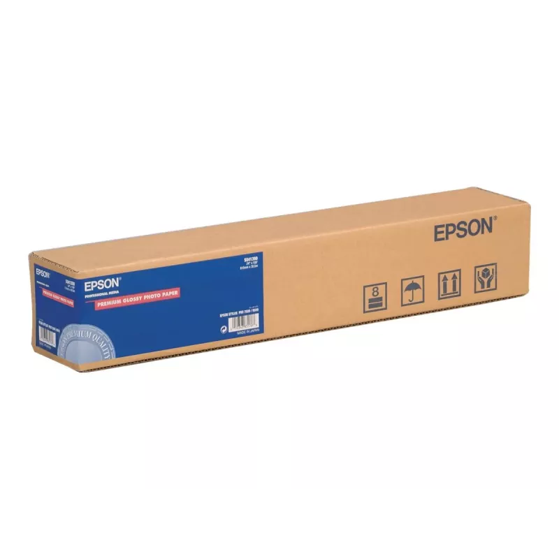 Epson Premium Semigloss papel fotográfico rollo, 16 pulgadas x 30,5 m, 250 g/m²
