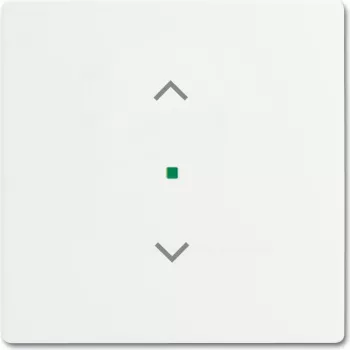 Placa de cubierta Busch-Jaeger 2CKA006220A0483 para soporte y caja de sensor blanca (2CKA006220A0483)