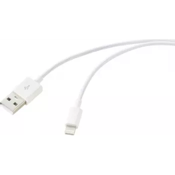 Renkforce Cable USB USB 2.0 conector macho USB-A, conector macho Apple Lightning 1,00 m blanco RF-6857548 (RF-6857548)