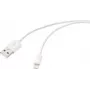 Renkforce Cable USB USB 2.0 conector macho USB-A, conector macho Apple Lightning 1,00 m blanco RF-6857548 (RF-6857548)