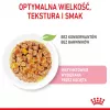 Royal Canin Feline Health Nutrition Kitten Instinctive en gelatina comida húmeda para gatitos, 12 x 85 g