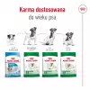 Pienso seco para perros Royal Canin Adult Mini S 8 kg — alimento completo para perros adultos pequeños
