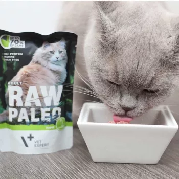 Comida húmeda para gatos VETEXPERT RAW PALEO Adult ciervo 100 g — bolsa monodosis sin cereales