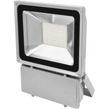 Foco LED EUROLITE FL-100 6400K, equivalente a 100 W, blanco luz diurna 6400 K
