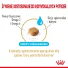 Comida seca para perros Royal Canin Yorkshire Terrier 8+ 1,5 kg — aves, senior raza pequeña, 29 % proteína, 18 % grasa