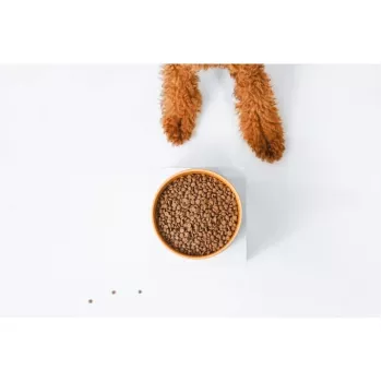 Pienso seco para perros nature's protection Superior Care Red Coat Adult Small breed sin cereales salmón 10 kg