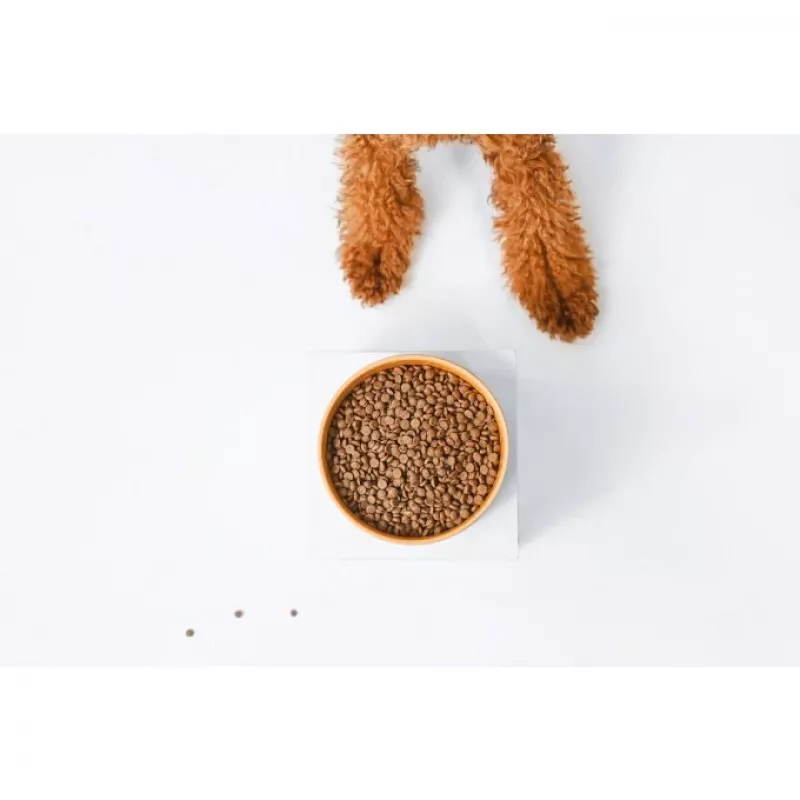 Pienso seco para perros nature's protection Superior Care Red Coat Adult Small breed sin cereales salmón 10 kg