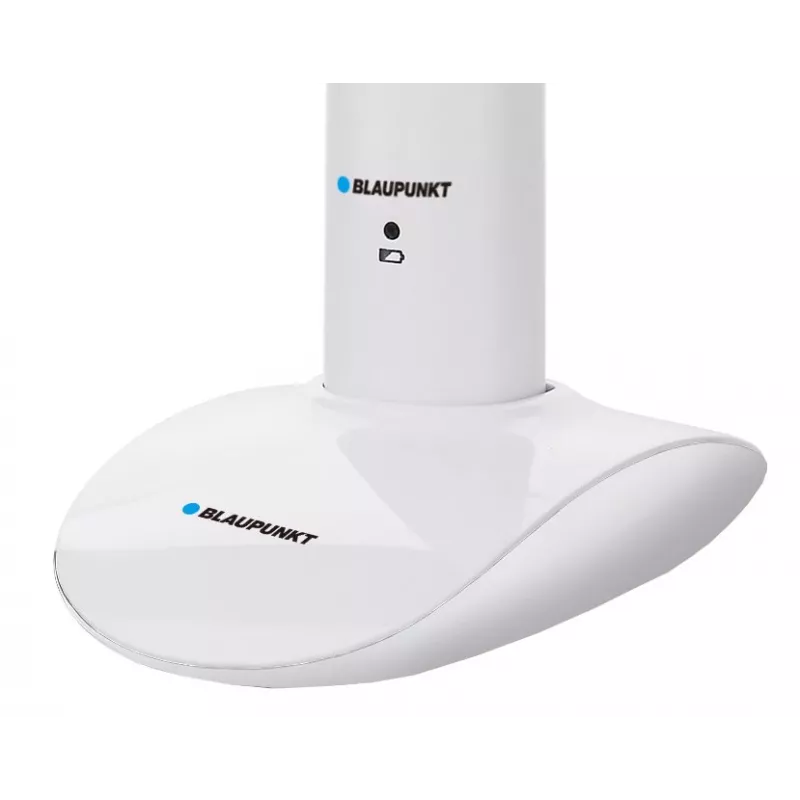 Cepillo de dientes sónico Blaupunkt DTS601