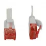Synergy 21 S216170V2 Cable de red 0,25 m Cat6 U/UTP (UTP) blanco (S216170V2)