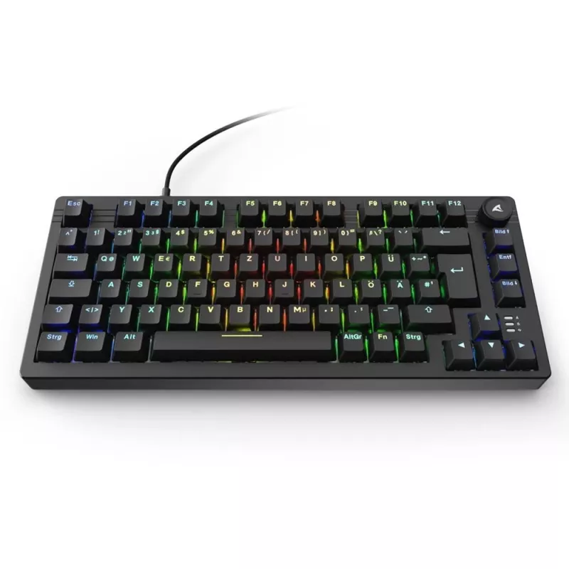 Teclado Sharkoon SGK25 Home USB QWERTZ alemán negro 75% RGB LED