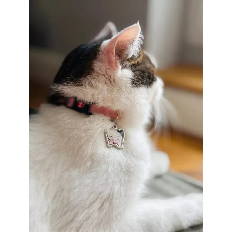 ZOLUX Chatouille pink - collar para gatos