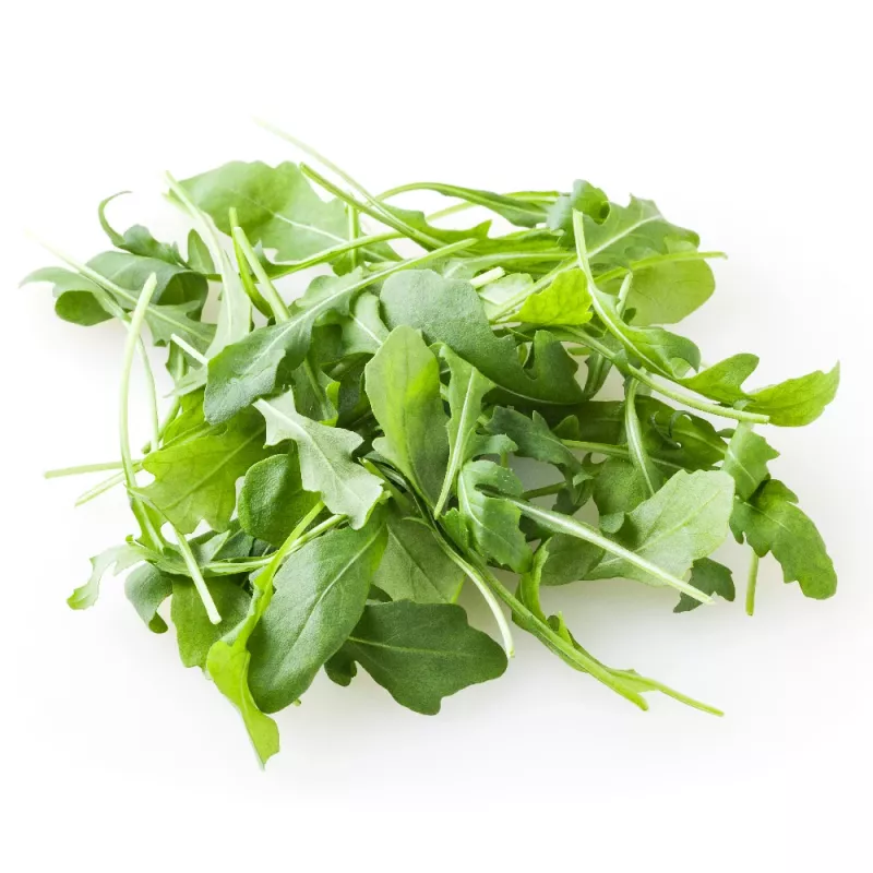 PNOS rúcula Eruca sativa semillas en cinta, 6 m