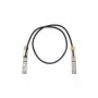 Cisco QSFP-100G-CU1M= cable InfiniBand/fibra óptica 1 m