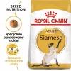 Royal Canin Siamese Adult pienso seco para gatos, 2 kg