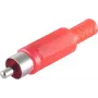Conector macho RCA ShiverPeaks BS51400-R Rojo Macho