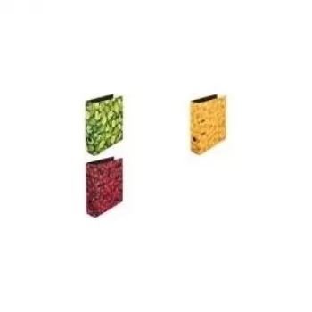Carpeta de anillas Herlitz 10485134 A4 Multicolor