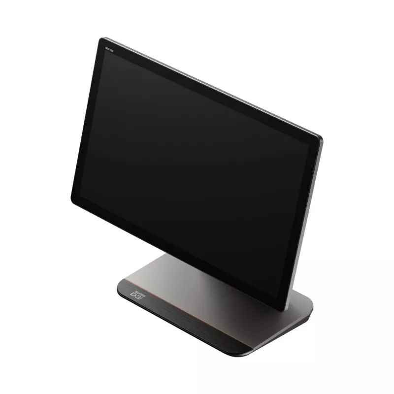 Terminal inteligente de sobremesa D3 Pro A13 15,6