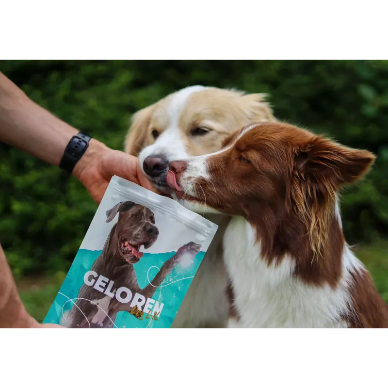 GELOREN Large dog Joints - Vitaminas para perros - 420g