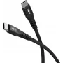 Wentronic 73952 Cable USB negro