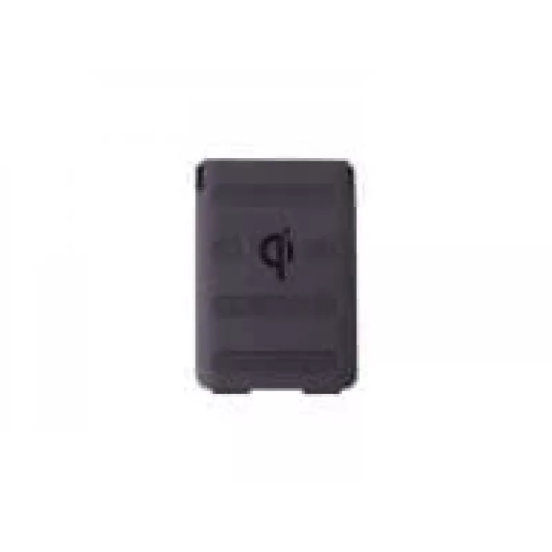 Batería de repuesto Datalogic, 4.100 mAh, compatible con: Memor 11, Memor 10 (94ACC0370)