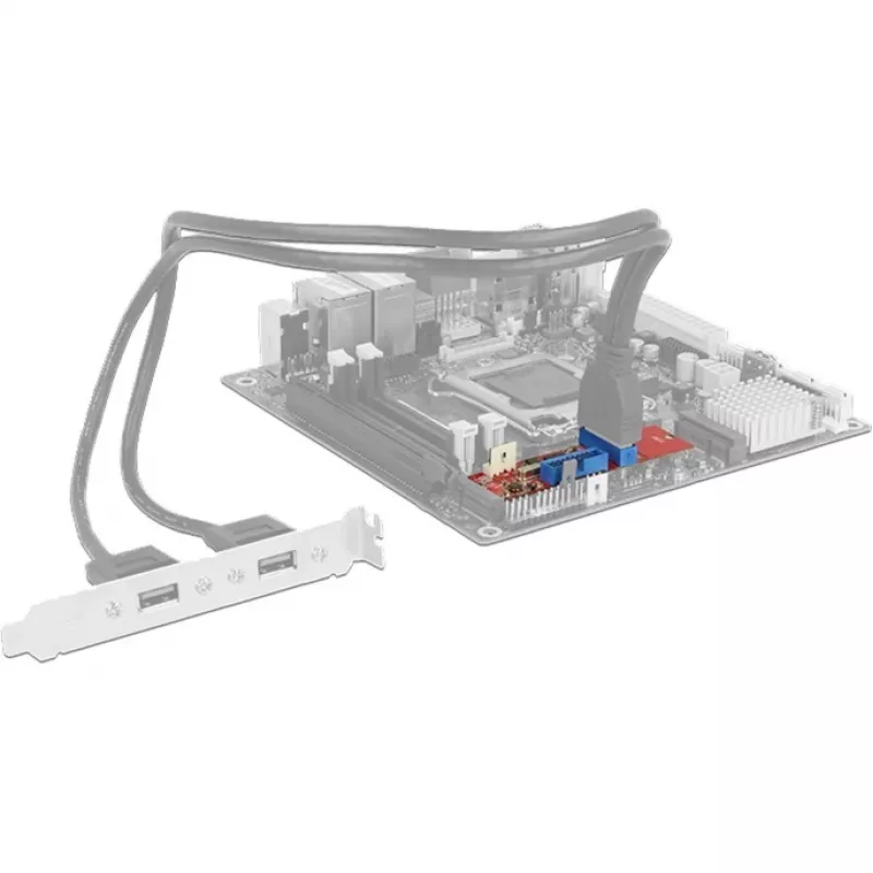 Delock convertidor M.2 Key B+M conector macho > 2 x USB 3.0 regleta de pines - adaptador USB - tarjeta M.2 - USB 3.0 (interno) x 2 (62843)