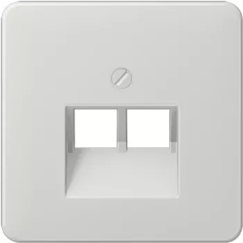 Jung CD569-2UALG Gris