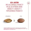 Comida seca para gatos Royal Canin FHN Ageing 11+ 4 kg — alimento completo para gatos mayores, ave, 30% proteína