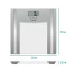 Báscula de análisis de vidrio Salter 9182 SV3R