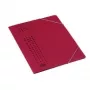 CHIC Carpeta elástica BURDEOS 25 uds. (33470BX Nuevo: 400010103)