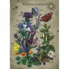 Puzle Ravensburger Circle of Life Butterfly 1000 piezas