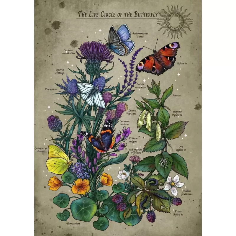 Puzle Ravensburger Circle of Life Butterfly 1000 piezas