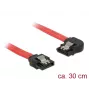 Cable SATA DeLOCK 83963 0,3 m SATA 7-pin negro rojo