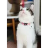 ZOLUX Chatouille pink - collar para gatos