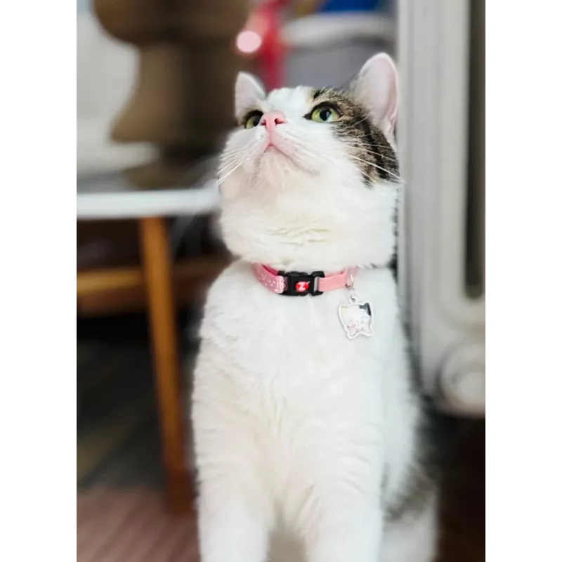 ZOLUX Chatouille pink - collar para gatos